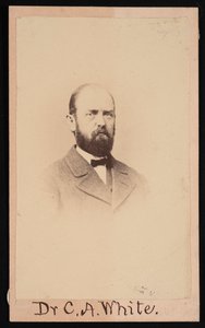 查尔斯-阿比亚塔-怀特1826-1910年的画像，1868年。 作者 艾萨克·奥古斯都·韦瑟比