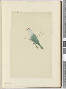 F.12哪里。新喀里多尼亚，1772-75（wc） 作者 艾萨克·史密斯
