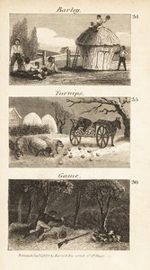 Trades in Norfolk, Regency England