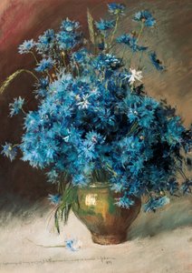 矢车菊花，1894年。