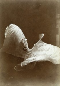 洛伊-富勒在《白色舞蹈》中，1897年 作者 以赛亚·韦斯特·泰伯