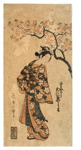 岚玉石