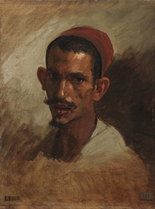 研究一位年轻的阿拉伯人，1860-62岁