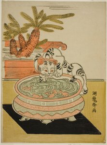 猫咪用爪子抓金鱼 作者 oda田K