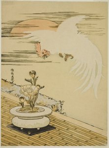 公鸡飞越阿多尼斯之壶 作者 oda田K