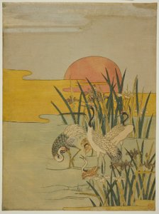 日出时鸢池里的仙鹤 作者 oda田K