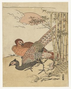 竹林和旭日旁的一对野鸡 作者 oda田K
