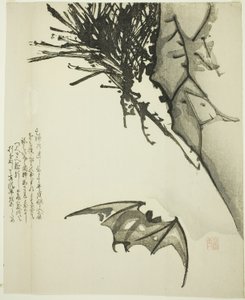 松树旁飞翔的蝙蝠 作者 一升一升