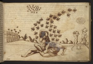 添加：82955，f.60 蜜蜂（"猿"）。82955，f.60 蜜蜂（"猿"），选自 Historia Animalium，（由 245 幅不同种类的动物和神兽的笔墨画组成，每幅画都附有说明。 作者 意大利学校