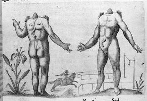 人类怪物的不同类型：一个没有头的人。意大利科学家Fortunio Liceti (1577-1656)的 "De monstrorum natura, causis et differentiis "版画。1646 作者 意大利学校