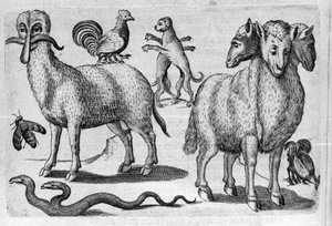 Different types of monstrous animals, with multiple bodies or an abnormal amount of limbs. Engraving from “De monstrorum natura, causis et differentiis” by Fortunio Liceti (1577-1656), Italian scientist. 1646 作者 意大利学校