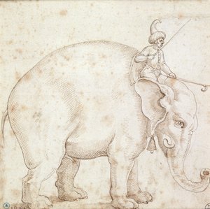 大象汉诺和他的Mahout 作者 意大利学校
