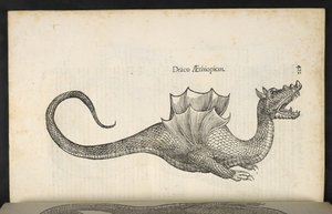 埃塞俄比亚龙，"Serpentum, et draconū historiae libri duo"，博洛尼亚，Ulisse Aldrovandi 著 作者 意大利学校