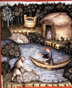 第82页 鲜鱼，来自《Tacuinum Santiatis Codex Vindobonensis》（牛皮纸）的插图 作者 意大利学校