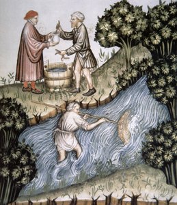 Fol.84r钓鱼，插图来自Tacuinum Santiatis Codex Vindobonensis 作者 意大利学校