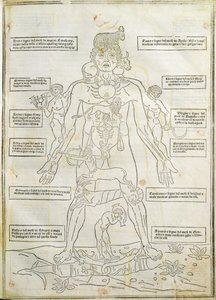 插图来自威尼斯“Fassiculus Medicinae” 作者 意大利学校