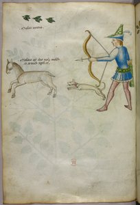 手持弓箭的男子向动物射击的插图，上方有一只狗和鸟，约 1440 年（牛皮纸上的墨水和彩色图案） 作者 意大利学校