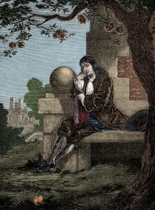 艾萨克·牛顿（Isaac Newton）观察到一棵苹果落在树下时落在地上 作者 意大利学校