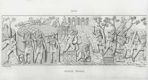 特拉贾纳柱（La Colonna Trajana），特拉贾纳柱（雕版印刷）。 作者 意大利学校