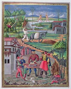 De Sphaera "女士 fol.13r 乡村的工作与娱乐 作者 意大利学校