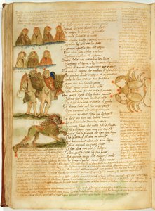 Ms Ital 483 P.4.7 f.156v 《双子座》、《狮子座》和《巨蟹座》，选自 Fazio degli Uberti 的《Dittamondo》（牛皮纸） 作者 意大利学校