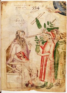 Lat 6823女士fol.1男子向Manfredus de Monte Imperiali的De Herbis介绍植物给一个不知名的男子 作者 意大利学校