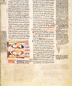 McClean女士135，f.96r：12世纪后期Gratians Decretum植物形态的初始C的细节 作者 意大利学校