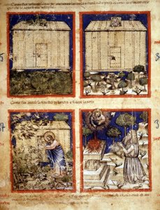诺亚方舟，缩影取自抄本 212（或帕多瓦诺抄本或帕多瓦圣经）1390-1400 Rovigo，Accademia dei Concordi 作者 意大利学校