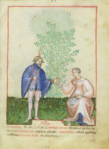 Nouy ACQ纬度1673 fol.83上升，从Tacuinum健康，c.1390-1400 作者 意大利学校