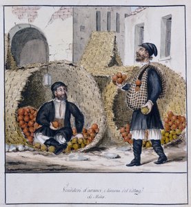 撒丁岛 Milis 的橙子和柠檬供应商，印刷 ms.258，Luzzetti 收藏 作者 意大利学校