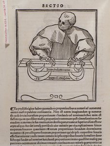 来自理论音乐的页面由Lodovico Fogliani（1475？-1542）（或Ludovico Foliani）理论家音乐剧 作者 意大利学校