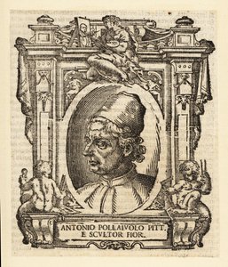 Antonio del Pollaiuolo 的肖像，意大利画家、雕塑家、雕刻家和文艺复兴时期的金匠，来自佛罗伦萨，大约 1429-1498 年 作者 意大利学校