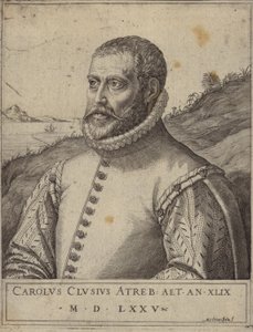 Carolus Clusius的肖像 作者 意大利学校