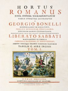 1772-1784年“罗马的花园”的标题页 作者 意大利学校