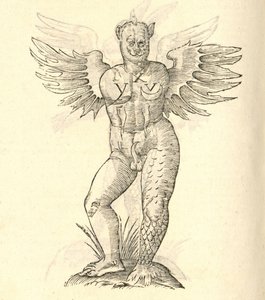 从怪物的另一kazakovae历史怪物角和翅膀的插图，1642 作者 意大利学校