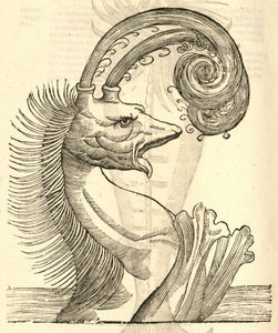 Poluteophyseter的例证来自Aldrovandis Monsters，1642 作者 意大利学校