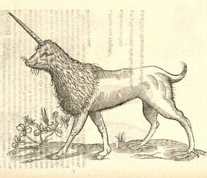 从Aldrovandis历史的诅咒Camphurch的插图，1642年 作者 意大利学校