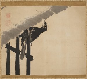 凤头八哥（墨水在纸上）