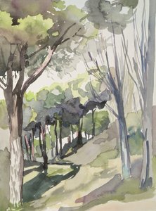 No.55 Puerto De Hierro Club，Madrid，Spain（wc） 作者 伊莎贝拉·戈德卢斯卡·德·阿兰达