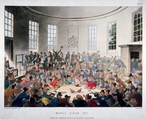 皇家公鸡坑》，1808年 作者 托马斯·罗兰森。