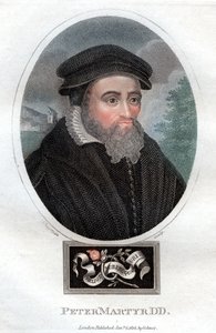 彼得·Mart道（Peter Martyr），1816年。 作者 查普曼