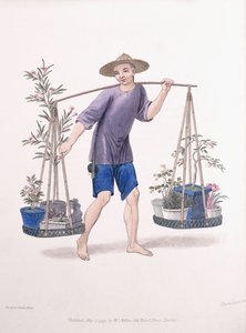 有果树和花的搬运工，约1800-01 作者 达德里
