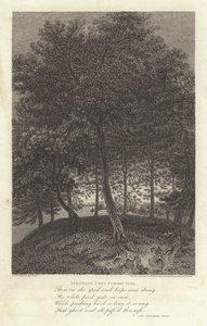 Robert Bloomfield, poet: Fakenham from Euston Park (engraving)
