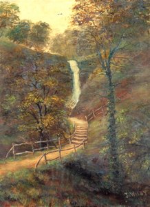 Shanklin Chine，怀特岛，1911年 作者 威尔比