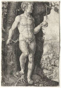 亚当，1526年。