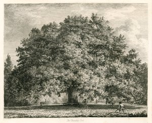 Chandos Oak，Michendon House，Southgate，伦敦 作者 Jacob George Strutt