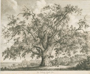 塔特伯里（Tutbury）-“威奇榆树”（Wych Elm）：蚀刻，[c 1820] 作者 雅各布·乔治·斯特鲁特