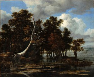 "" Chenes sur les berges d