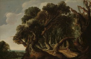林木景观
景观 作者 Jacob Jacobsz van Geel（艺术家签名）