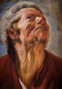 研究负责人 作者 Jacob Jordaens